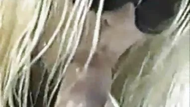 Khách phim xet bo chong va con dau sạn tuyệt vời băng